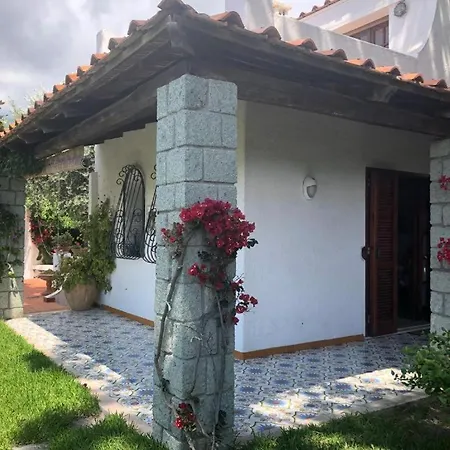 Moma Con Giardino, Tennis E Piscina Panoramica * Forio di Ischia